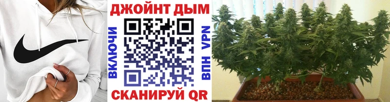 Конопля VHQ сколько стоит Ува